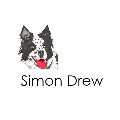 Simon Drew Gallery